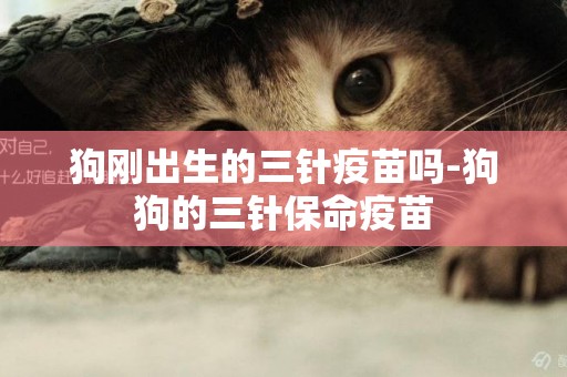 狗剛出生的三針疫苗嗎-狗狗的三針保命疫苗