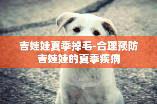吉娃娃夏季掉毛-合理預防吉娃娃的夏季疾病