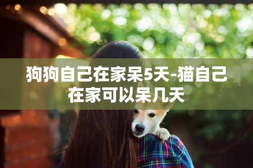 狗狗自己在家呆5天-貓自己在家可以呆幾天