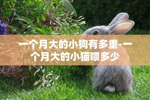 一個月大的小狗有多重-一個月大的小貓喂多少