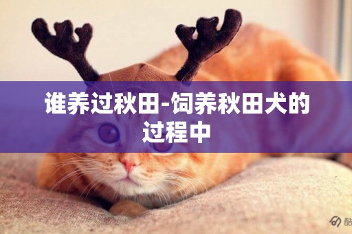 誰養過秋田-飼養秋田犬的過程中