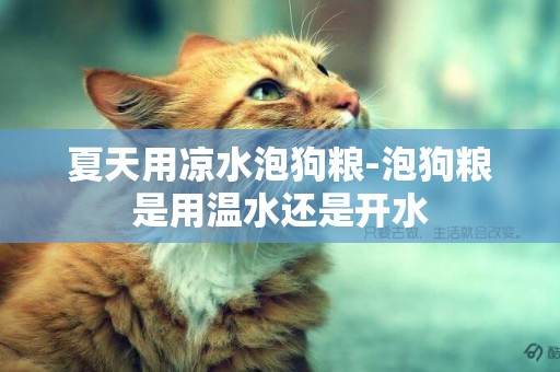 夏天用涼水泡狗糧-泡狗糧是用溫水還是開水