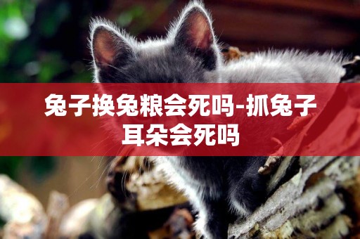 兔子換兔糧會死嗎-抓兔子耳朵會死嗎