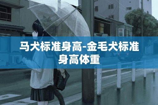馬犬標準身高-金毛犬標準身高體重