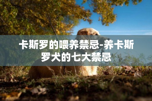 卡斯羅的喂養禁忌-養卡斯羅犬的七大禁忌