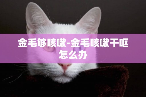 金毛夠咳嗽-金毛咳嗽干嘔怎么辦