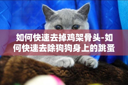 如何快速去掉雞架骨頭-如何快速去除狗狗身上的跳蚤