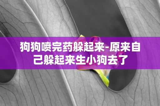 狗狗噴完藥躲起來-原來自己躲起來生小狗去了