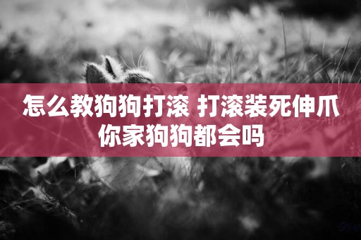 怎么教狗狗打滾 打滾裝死伸爪你家狗狗都會嗎