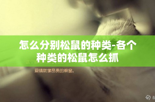 怎么分別松鼠的種類-各個種類的松鼠怎么抓