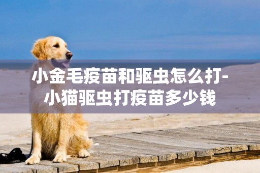 小金毛疫苗和驅蟲怎么打-小貓驅蟲打疫苗多少錢