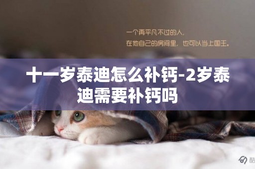 十一歲泰迪怎么補鈣-2歲泰迪需要補鈣嗎