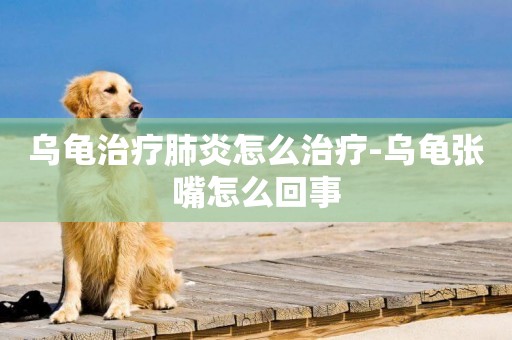 烏龜治療肺炎怎么治療-烏龜張嘴怎么回事