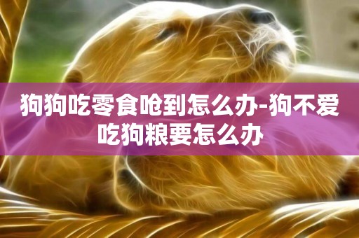 狗狗吃零食嗆到怎么辦-狗不愛吃狗糧要怎么辦