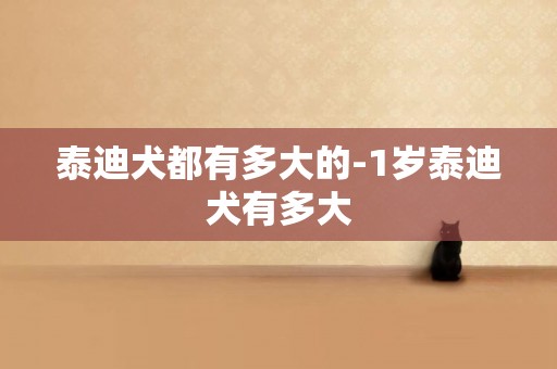 泰迪犬都有多大的-1歲泰迪犬有多大