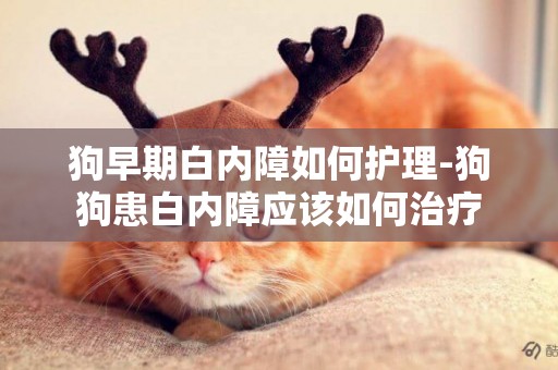 狗早期白內障如何護理-狗狗患白內障應該如何治療
