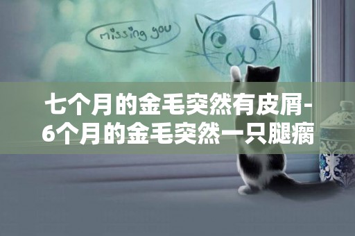 七個月的金毛突然有皮屑-6個月的金毛突然一只腿瘸