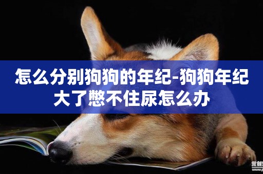 怎么分別狗狗的年紀-狗狗年紀大了憋不住尿怎么辦