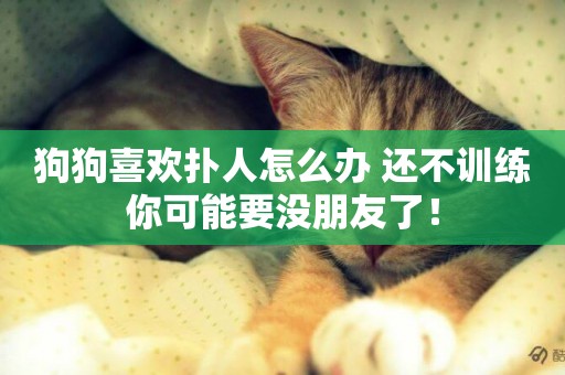 狗狗喜歡撲人怎么辦 還不訓練你可能要沒朋友了！