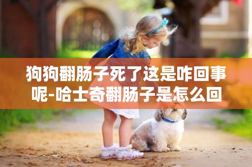 狗狗翻腸子死了這是咋回事呢-哈士奇翻腸子是怎么回事