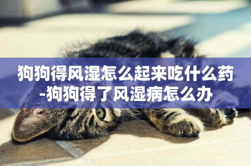 狗狗得風濕怎么起來吃什么藥-狗狗得了風濕病怎么辦