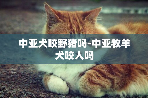 中亞犬咬野豬嗎-中亞牧羊犬咬人嗎