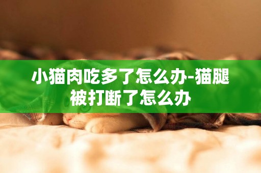 小貓肉吃多了怎么辦-貓腿被打斷了怎么辦