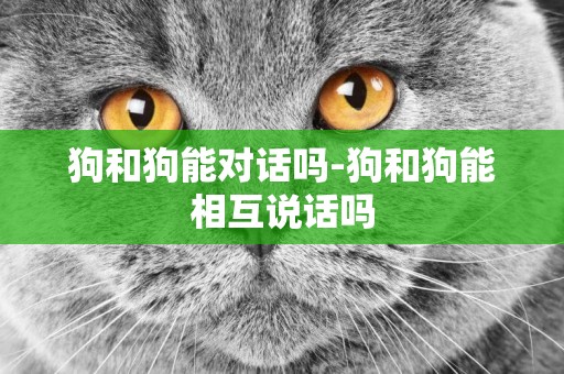 狗和狗能對話嗎-狗和狗能相互說話嗎