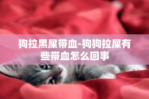 狗拉黑屎帶血-狗狗拉屎有些帶血怎么回事