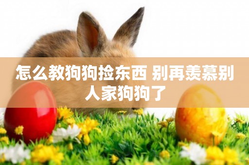 怎么教狗狗撿東西 別再羨慕別人家狗狗了