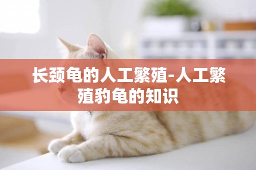 長頸龜的人工繁殖-人工繁殖豹龜的知識