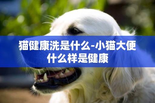貓健康洗是什么-小貓大便什么樣是健康