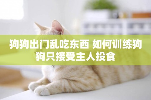 狗狗出門亂吃東西 如何訓練狗狗只接受主人投食