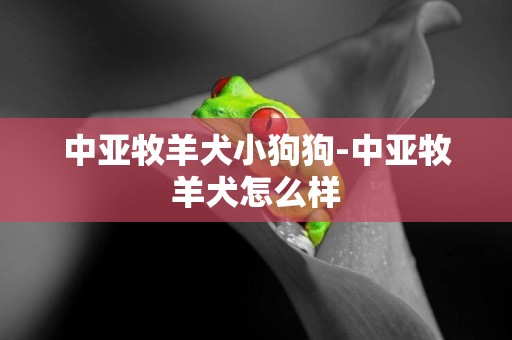 中亞牧羊犬小狗狗-中亞牧羊犬怎么樣