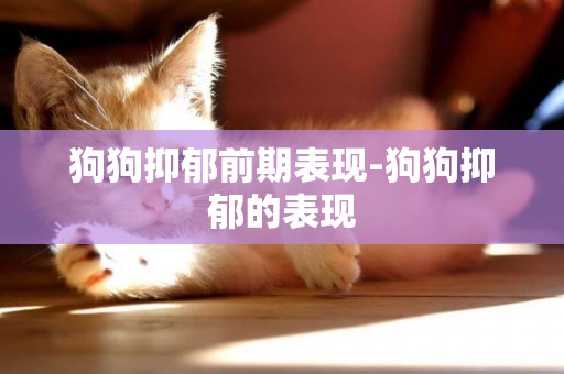 狗狗抑郁前期表現-狗狗抑郁的表現