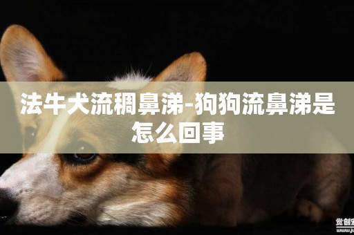 法牛犬流稠鼻涕-狗狗流鼻涕是怎么回事