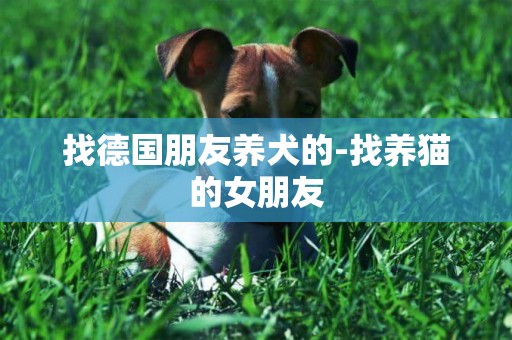 找德國朋友養犬的-找養貓的女朋友