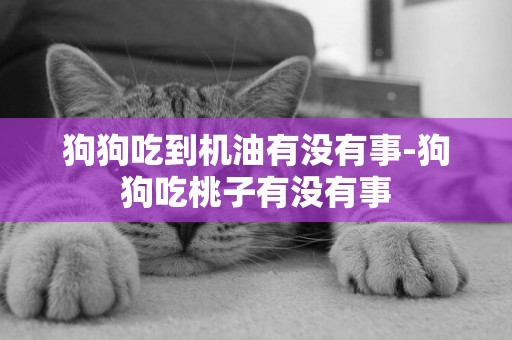 狗狗吃到機油有沒有事-狗狗吃桃子有沒有事