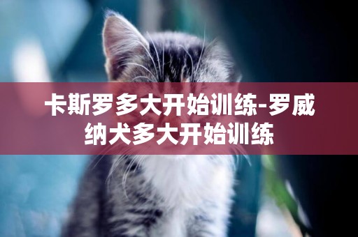 卡斯羅多大開始訓練-羅威納犬多大開始訓練