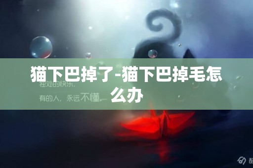 貓下巴掉了-貓下巴掉毛怎么辦