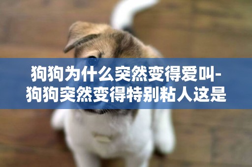 狗狗為什么突然變得愛叫-狗狗突然變得特別粘人這是為什么