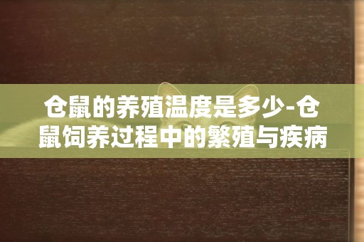 倉鼠的養殖溫度是多少-倉鼠飼養過程中的繁殖與疾病