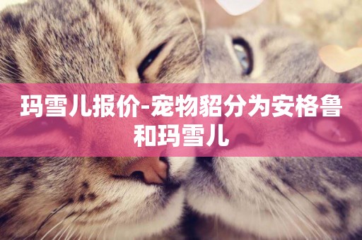 瑪雪兒報價-寵物貂分為安格魯和瑪雪兒