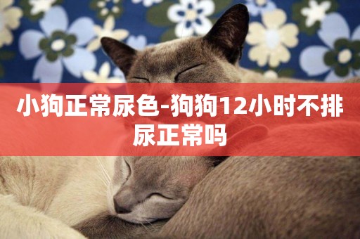 小狗正常尿色-狗狗12小時不排尿正常嗎