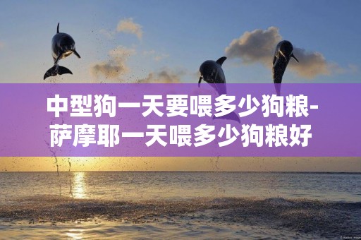 中型狗一天要喂多少狗糧-薩摩耶一天喂多少狗糧好