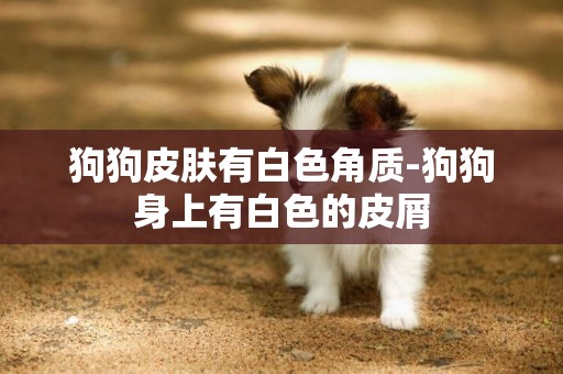 狗狗皮膚有白色角質-狗狗身上有白色的皮屑