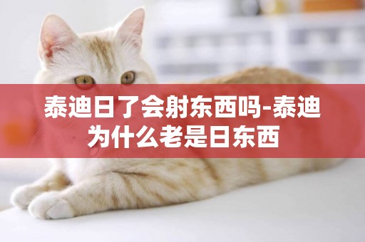 泰迪日了會射東西嗎-泰迪為什么老是日東西