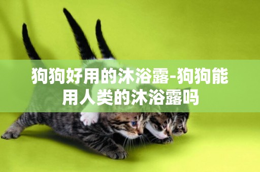 狗狗好用的沐浴露-狗狗能用人類的沐浴露嗎