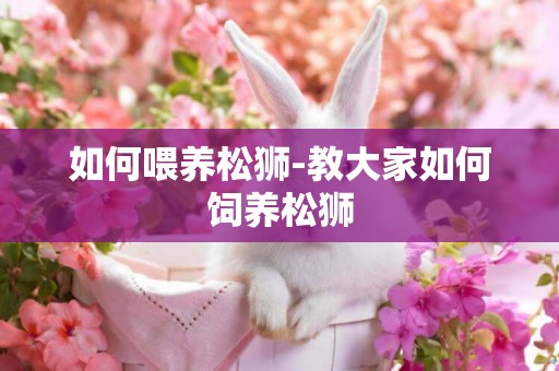 如何喂養松獅-教大家如何飼養松獅