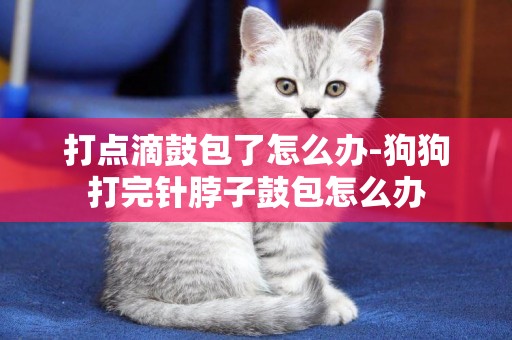 打點滴鼓包了怎么辦-狗狗打完針脖子鼓包怎么辦